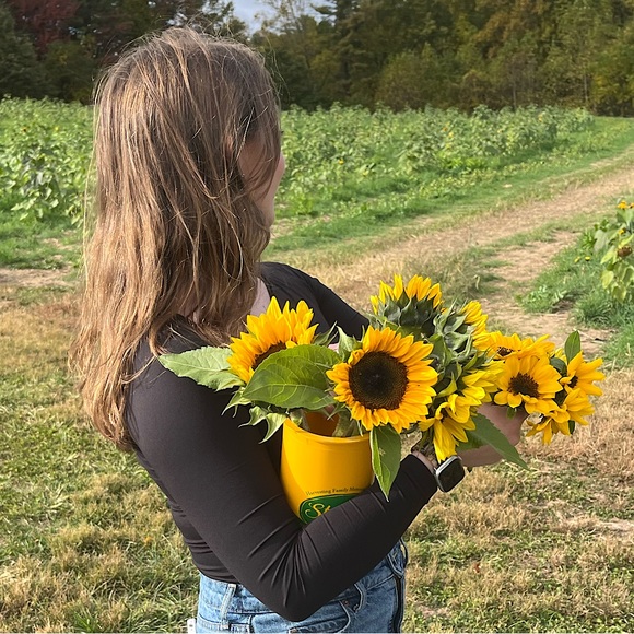 Introduction - Picture 1 of 1